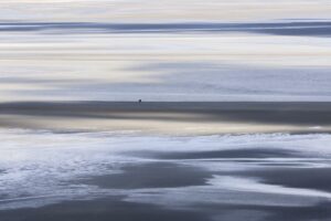 Human Nature 17 - Marc Josse © Photographie contemporaine - Galerie d'art Wallpepper