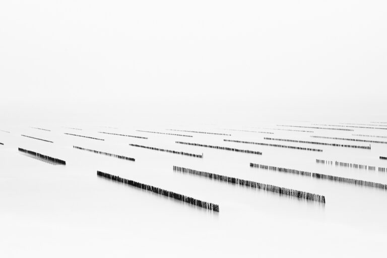 Galerie Wallpepper 
Photographie d art - ©marc josse - sequence 16