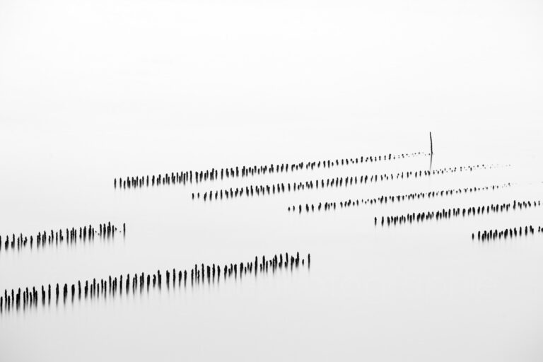 Galerie Wallpepper 
Photographie d art - ©marc josse
