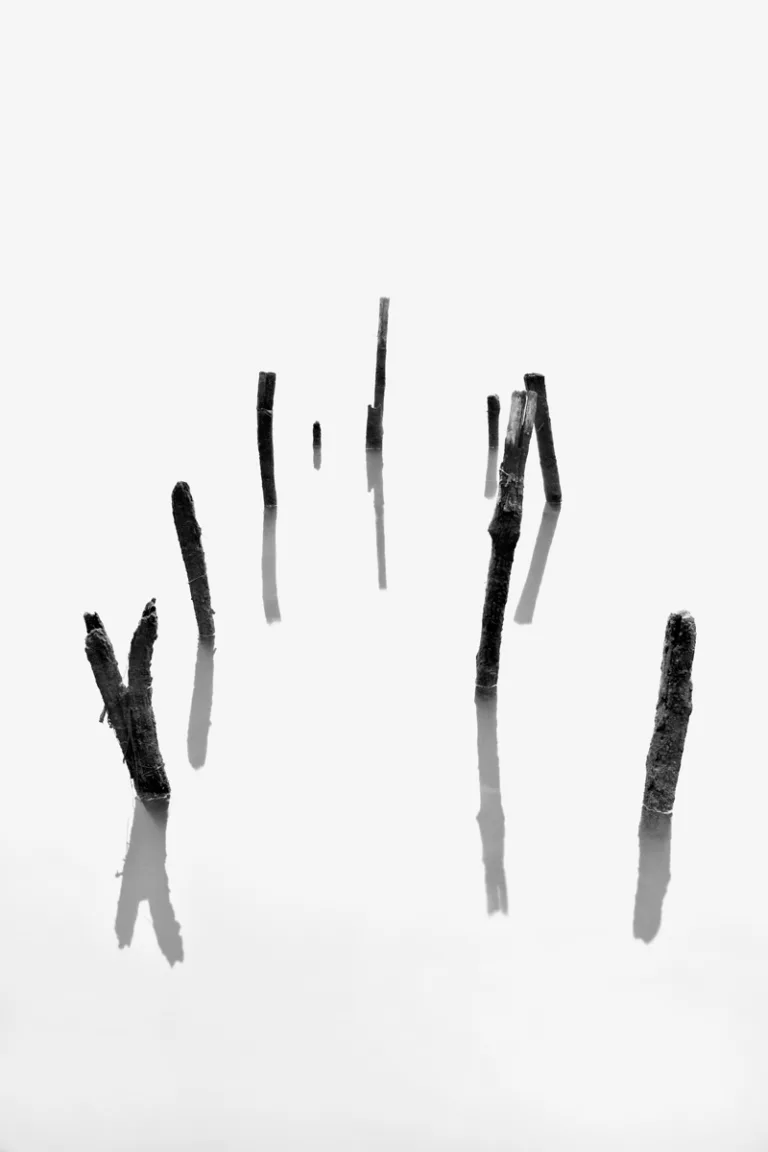 Galerie Wallpepper 
Photographie d art - ©marc josse - gestalt - 