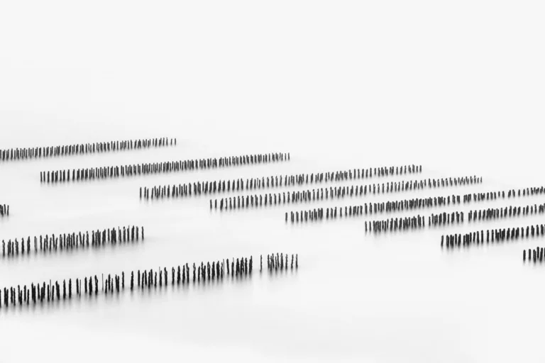 Galerie Wallpepper 
Photographie d art - ©marc josse - sequence 30