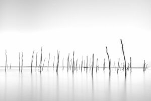 Galerie Wallpepper Photographie d art - ©marc josse - Gestalt - piloti7. galerie d'art paris.