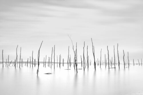 Galerie Wallpepper Photographie d art - ©marc josse - Gestalt - piloti 9. galerie d'art paris.