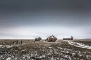 Max Coleman - Barnes -Photographie contemporaine - Galerie Wallpepper