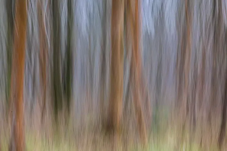 Cinetic - Giacomo Bertuci - Photographie contemporaine - Galerie Wallpepper