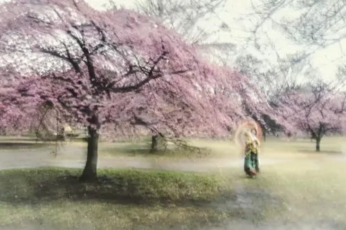 Photographie d'art - Marc Josse - Kim Oda
